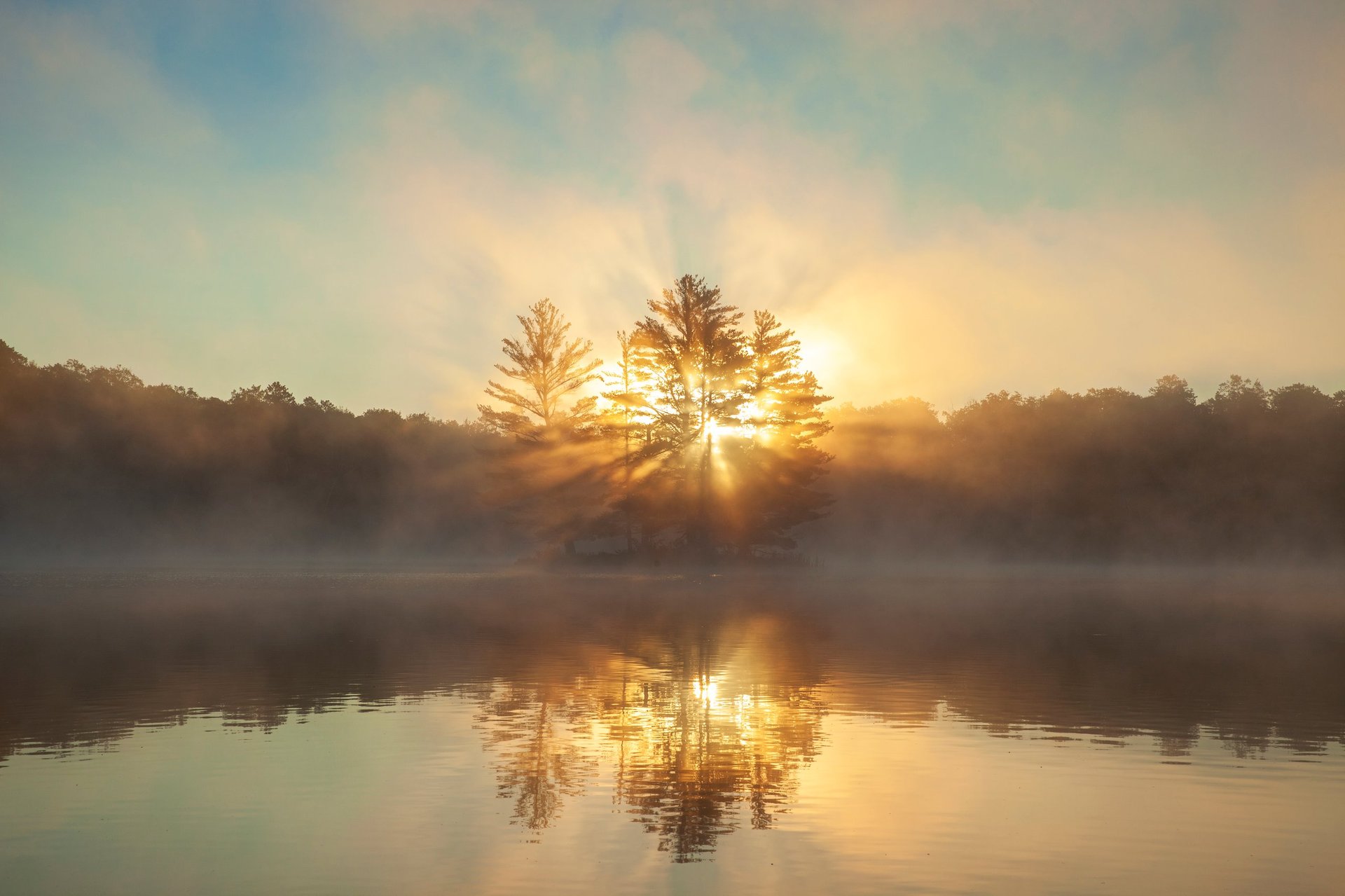 Sunrise through pine trees with sunburst on a lake during summer