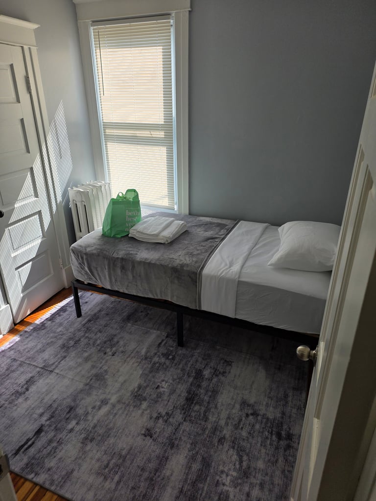 Minimalist bedroom with a twin bed, gray bedding, green plant, and window with blinds overlooking natural light