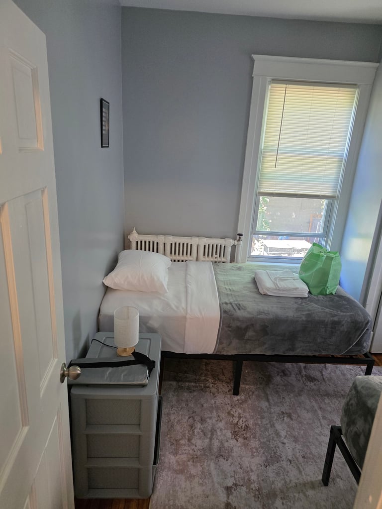 Minimalist bedroom with single bed, gray walls, white door, window with blinds, small nightstand, and green plant